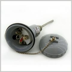 Çap:8mm. Boy: 10 cm. 1/2 inç - Kafalı Tip Pt-100